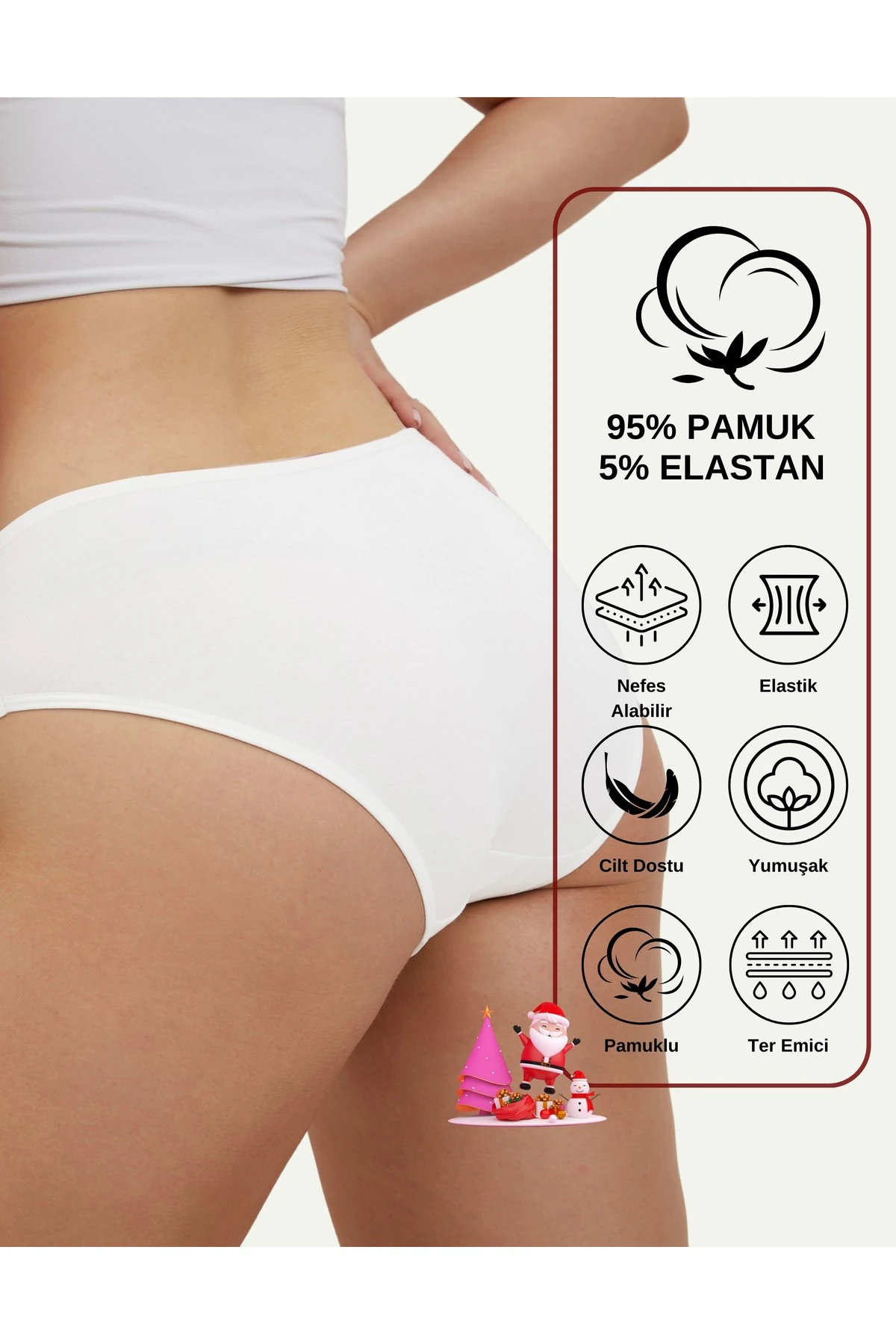 ALYA UNDERWEAR Kadın Pamuklu Hipster - Slip Külot 5 Farklı Renk 1 Pakette