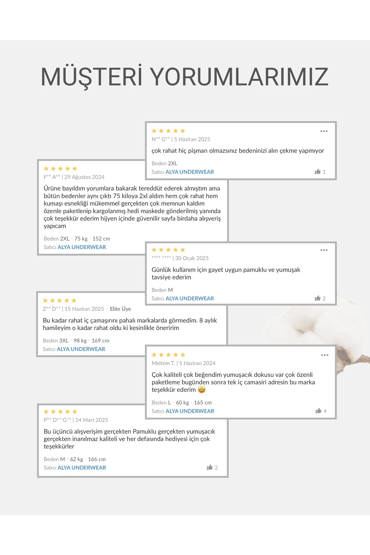 ALYA UNDERWEAR Kadın Pamuklu Hipster - Slip Külot 5 Farklı Renk 1 Pakette