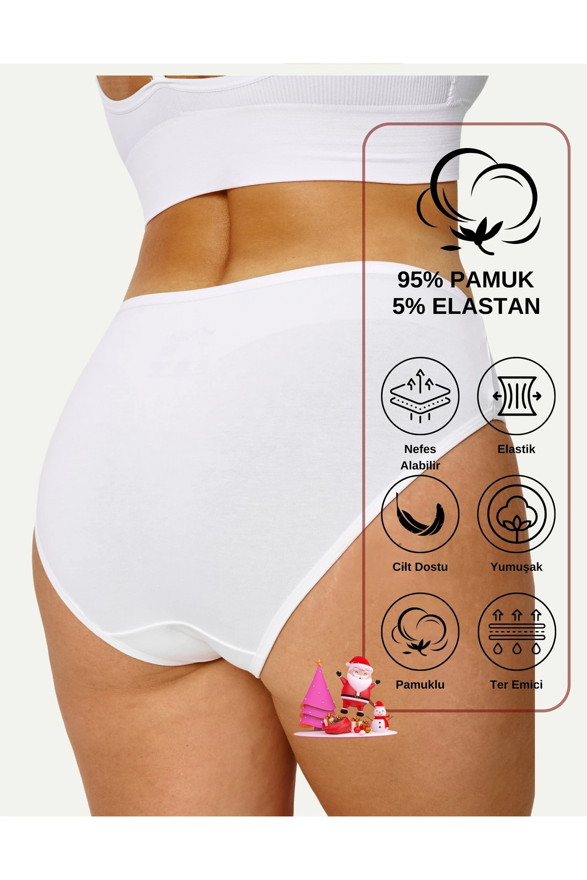 ALYA UNDERWEAR Kadın Külot Basic Slip Renkli Pamuklu Iç Çamaşırı 10'lu Paket ( Multicolor-x32 )