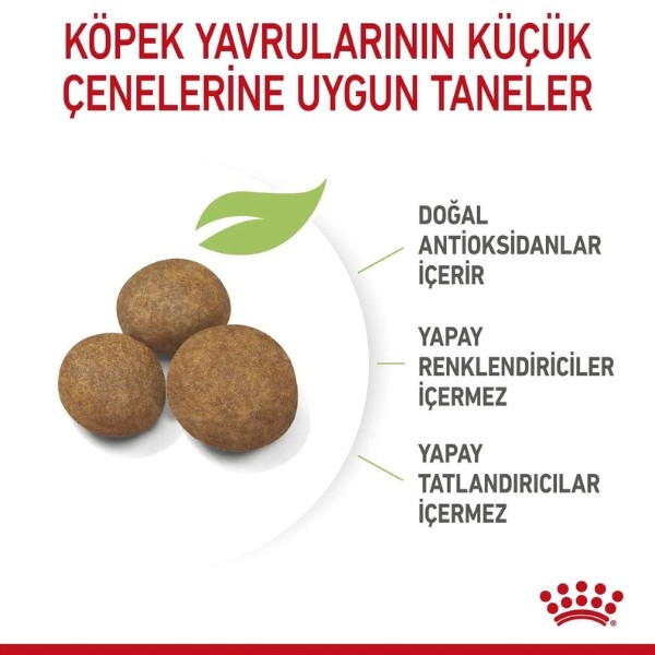 Royal Canin Maxi Puppy Büyük Irk Yavru Köpek Maması