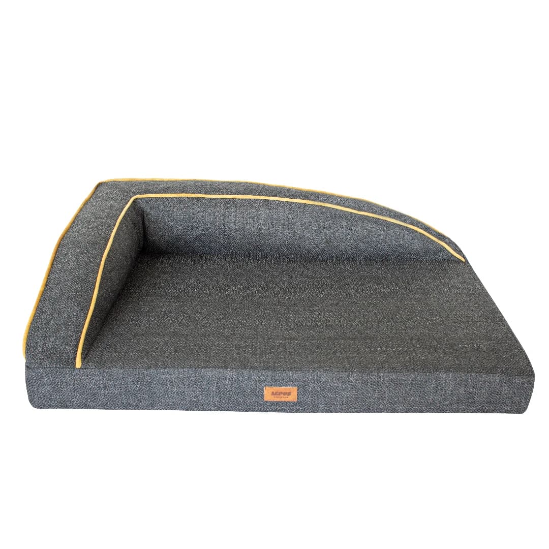 Lepus Köpek Aksesuarı Nasıl Kullanılır? Adım Adım Rehber 