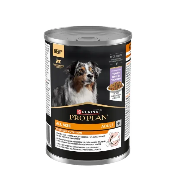 Pro Plan Köpek Mamasıyla Cilt ve Tüy Sorunları Nasıl Çözülür? 