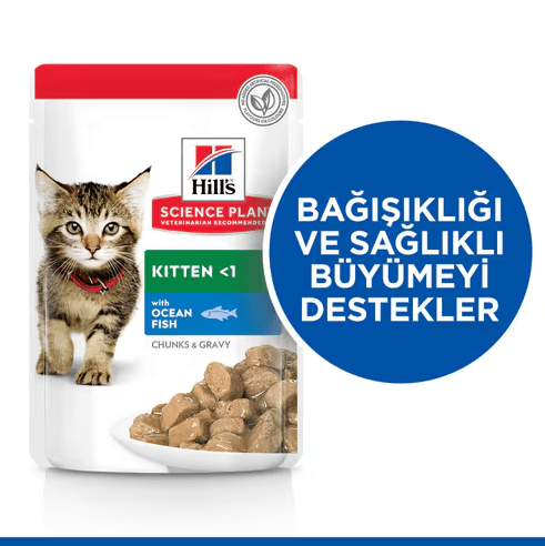 Hills Kitten Okyanus Balıklı Pouch Yavru Konserve Kedi Maması