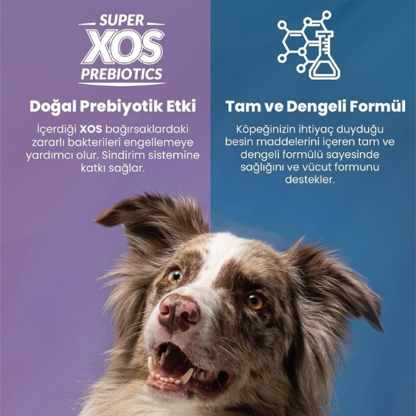 Reflex Plus Adult Somonlu Küçük Irk Yetişkin Köpek Maması