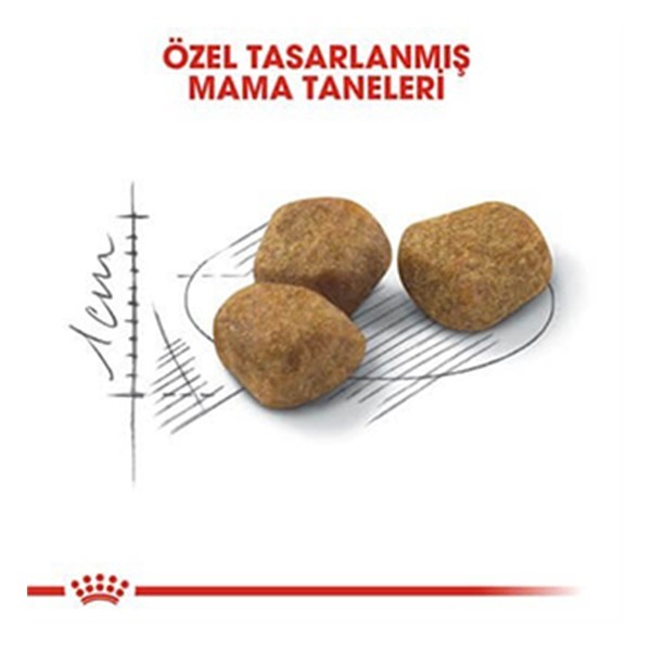 Royal Canin İndoor 7+ Senior Yaşlı Kedi Maması