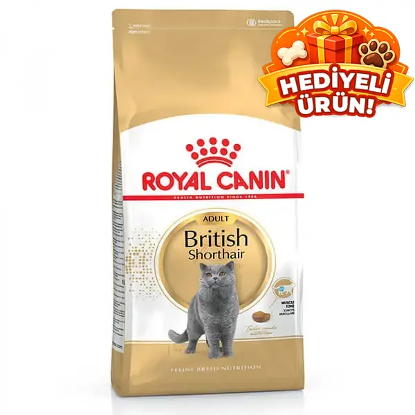 Royal Canin British Shorthair Adult Yetişkin Kedi Maması