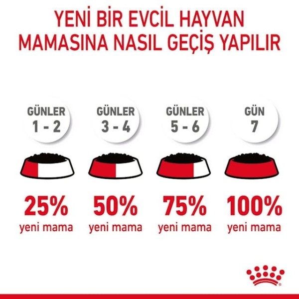 Royal Canin İntense Beauty Jelly Pouch Konserve Kedi Maması