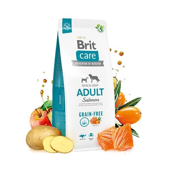 Brit Care Tahılsız Skin & Coat Somonlu Yetişkin Köpek Maması