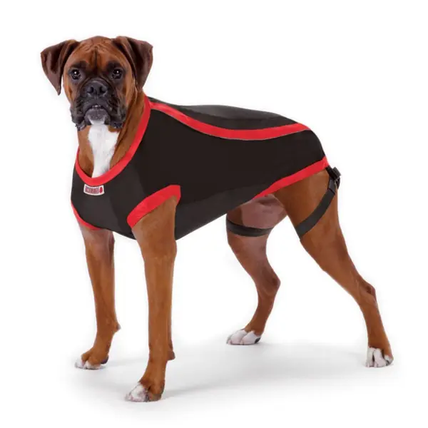 Kong Anksiyete Kaygı Giderici Köpek Elbisesi {'id': 'b2b4b22a-9a1c-4f9f-a876-adc0e23ffb3e', 'name': 'Xxsmall', 'colorCode': '', 'thumbnailImageId': '', 'variantTypeId': '25f10190-ac0f-4e5f-b04a-29cb7dff1ce9'}