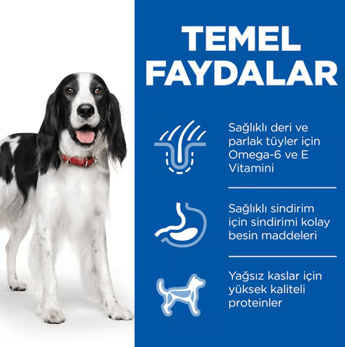 Hills Adult Biftekli Yetişkin Konserve Köpek Maması