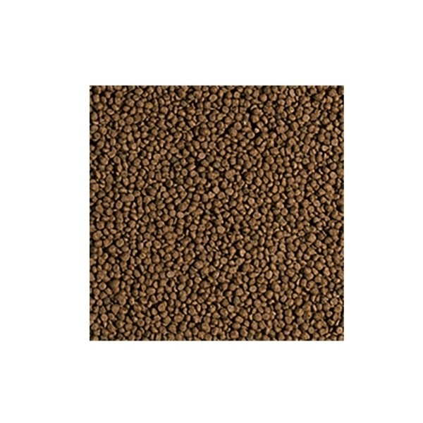 Tropical Koi Wheat Germ & Garlic Size  Koi Balıkları için Granül Yem