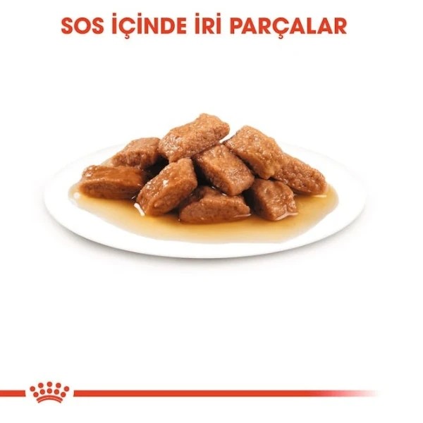 Royal Canin Medium Adult Gravy Yetişkin Konserve Köpek Maması