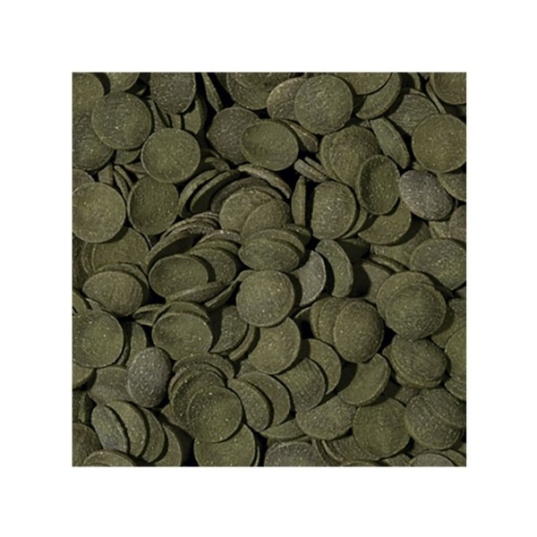 Tropical Green Algae Wafers Vatoz Balıkları için Yosunlu Yüzen Tablet Yem