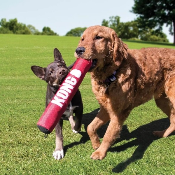 Kong Signature Stick Çubuk Şeklinde Köpek Oyuncağı