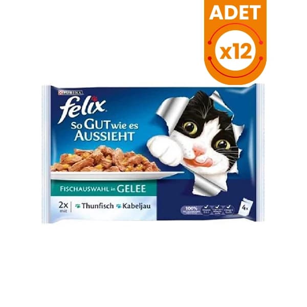 Felix Cod & Tuna
