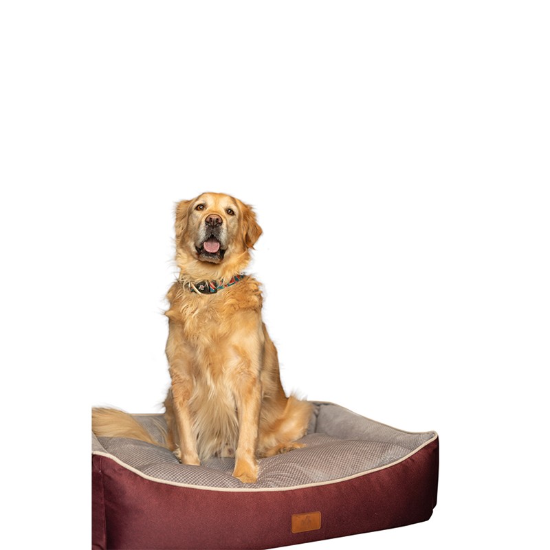 Peggy Lola Köpek Yatağı