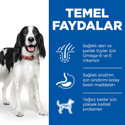 Hills Adult Tavuklu Yetişkin Konserve Köpek Maması