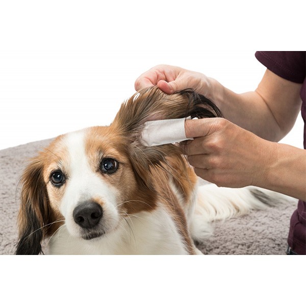 Trixie Kedi ve Köpek Kulak Temizleme Mendili