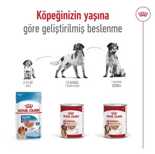 Royal Canin Loaf Mousse Orta Irk Ezme Yetişkin Konserve Köpek Maması
