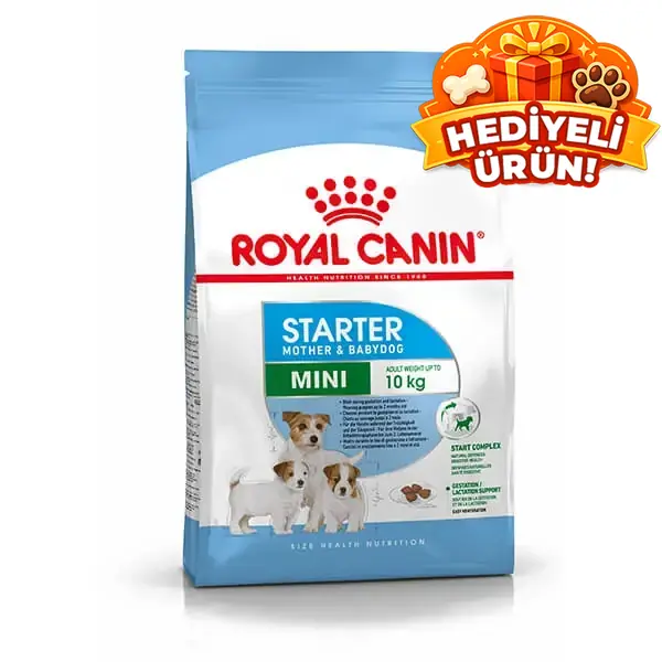 Royal Canin Mini Starter Anne ve Yavru Köpek Maması