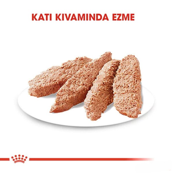 Royal Canin Mini Dermacomfort Pouch Konserve Köpek Maması