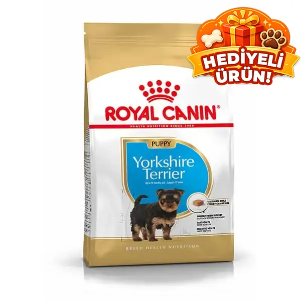 Royal Canin Yorkshire Terrier Junior Yavru Köpek Maması