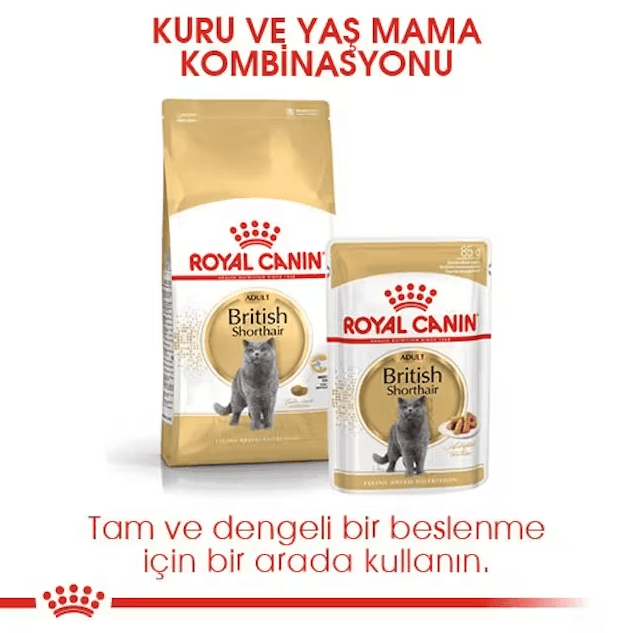Royal Canin British Shorthair Adult Yetişkin Kedi Maması