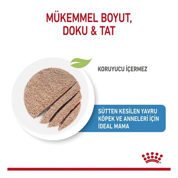 Royal Canin Starter Mousse Yavru Konserve Köpek Maması