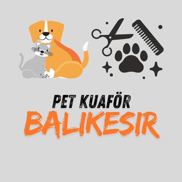 Balıkesir Pet Kuaför