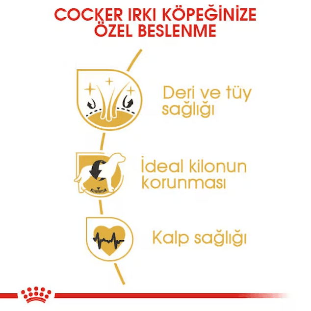 Royal Canin Cocker Adult Yetişkin Köpek Maması