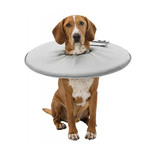 Trixie Köpek ve Kedi Yakalığı