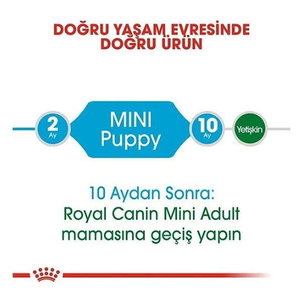 Royal Canin Mini Puppy Küçük Irk Yavru Köpek Maması