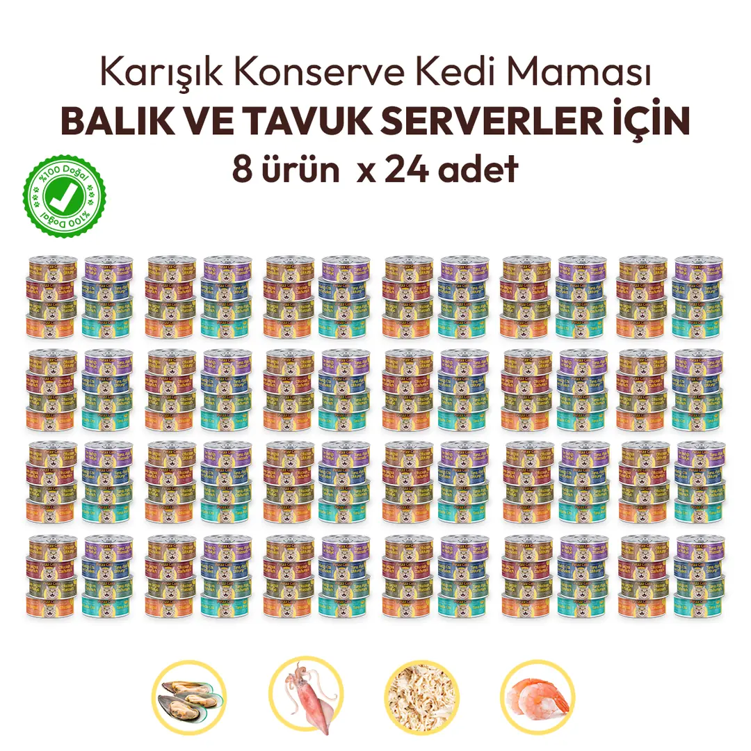 PetzzCats Lezzetli Sos İçinde Karışık Konserve Kedi Maması