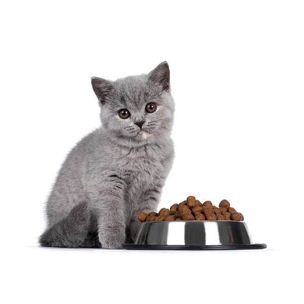 Brit Veterinary Diet Struvite Tavuklu Tahılsız Kedi Maması