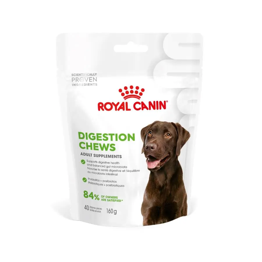 Royal Canin Yetişkin Köpekler İçin Sindirim Sistemini Destekleyen Tamamlayıcı Ödül Maması