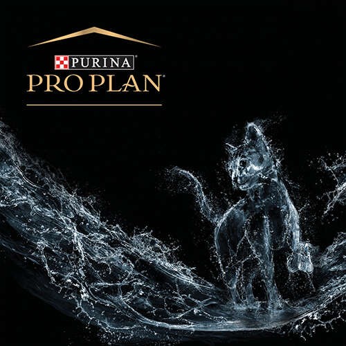 Pro Plan Feline Hydra Care Pouch Konserve Kedi Maması