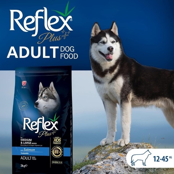 Reflex Plus Somonlu Orta ve Büyük Irk Yetişkin Köpek Maması