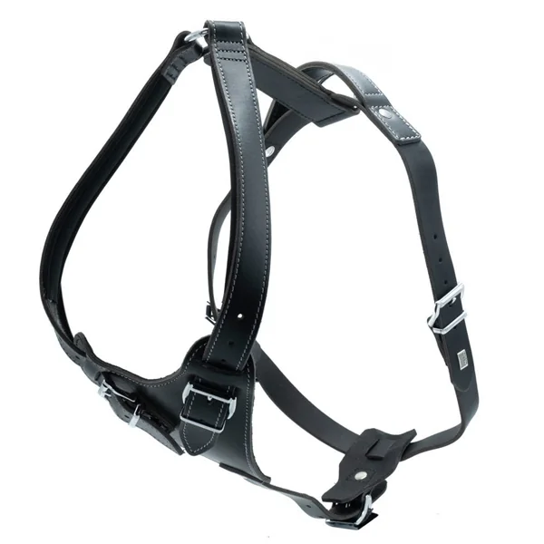 Doggie Dragon Deri Köpek Göğüs Tasması