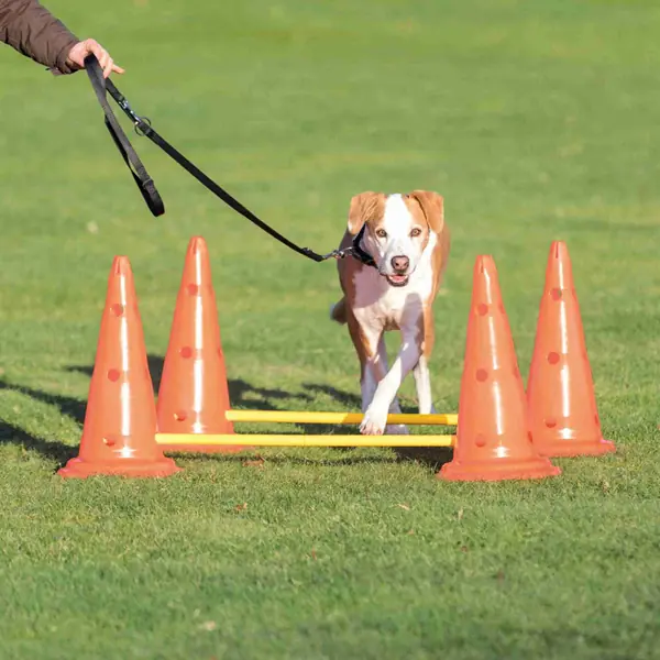 Trixie Köpek Agility Oyuncağı