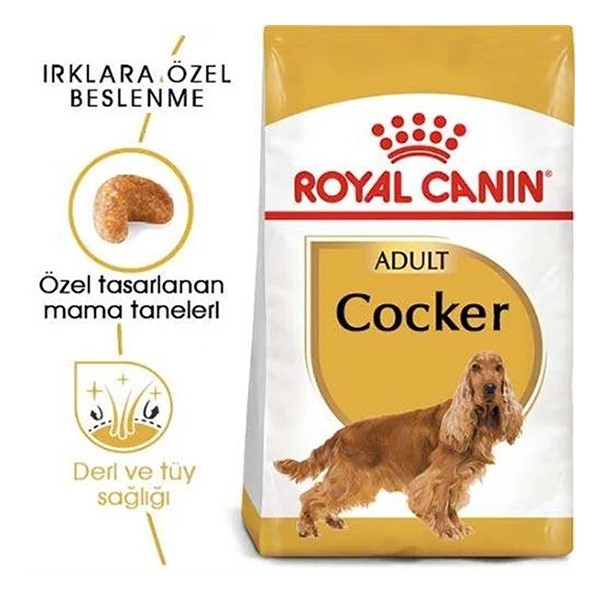 Royal Canin Cocker Adult Yetişkin Köpek Maması