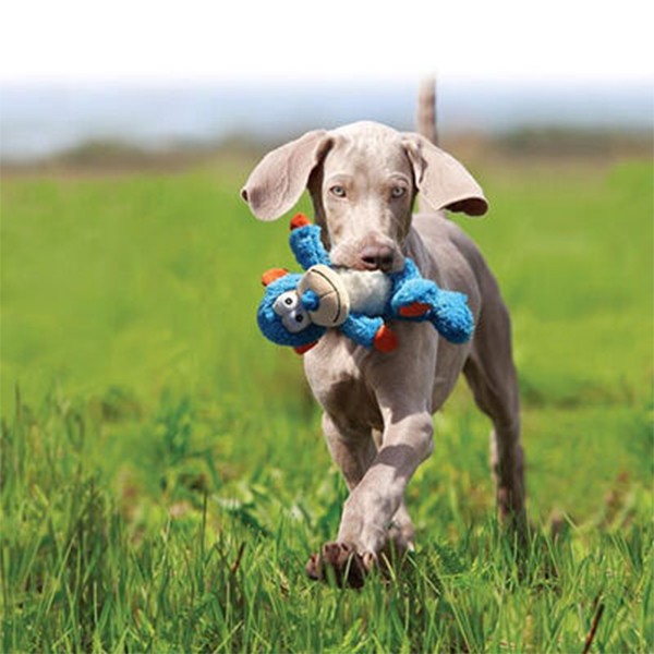 Kong Cross Knots Monkey Sesli Peluş Maymun Köpek Oyuncağı