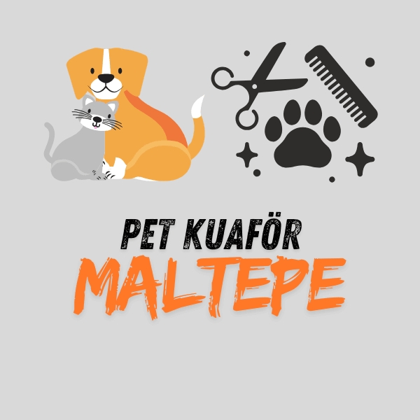 Maltepe Pet Kuaför