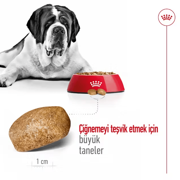 Royal Canin Giant Adult Dev Irk Yetişkin Köpek Maması