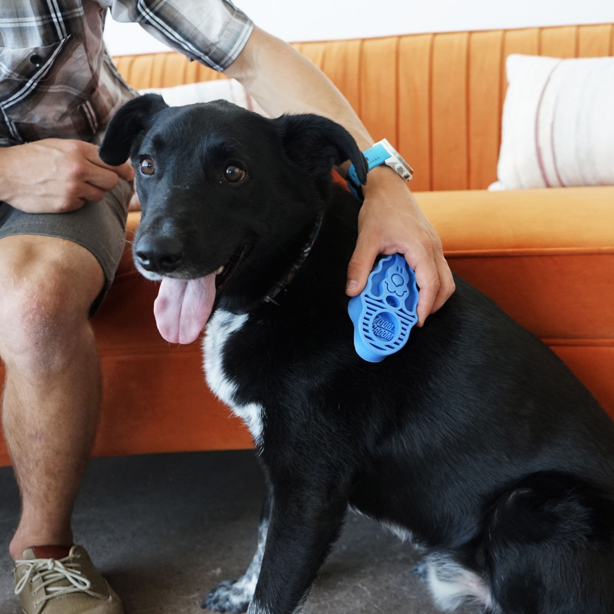 Kong ZoomGroom Kauçuk Köpek Tarağı