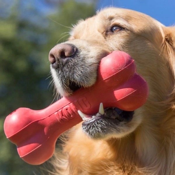 Kong Kemik Şeklinde Kauçuk Köpek Oyuncağı