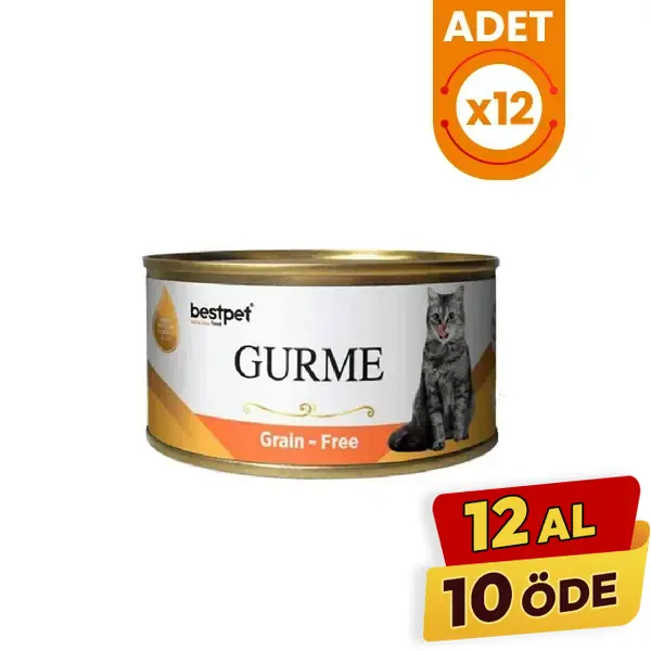 Bestpet Gurme Jöleli Somonlu Yetişkin Konserve Kedi Maması