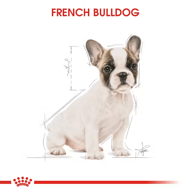 Royal Canin French Bulldog Junior Yavru Köpek Maması