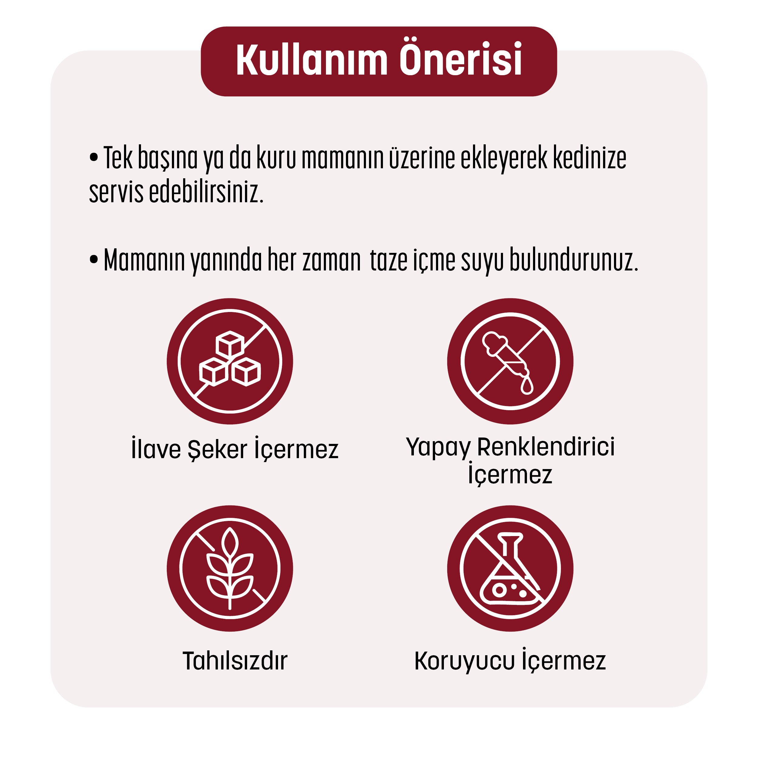 PetzzCats Tavuk & Kalamar Konserve Kedi Maması