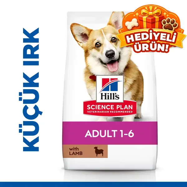 Hills Science Plan Köpek Maması: Detaylı İnceleme ve Gerçek Yorumlar 