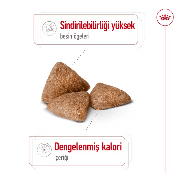 Royal Canin Mini İndoor Adult Yetişkin Köpek Maması